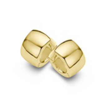 Casa Collection Biceps Creolen Verguld HO006600 - 609375