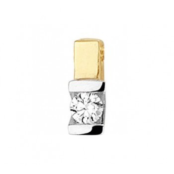 14krt bicolor gouden hanger met diamant 0.075crt V-zetting - 613671