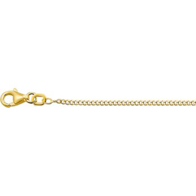 14krt gouden gourmet collier 42cm 1.4mm - 614294 14krt gouden gourmet collier 42cm 1.4mm - 614294