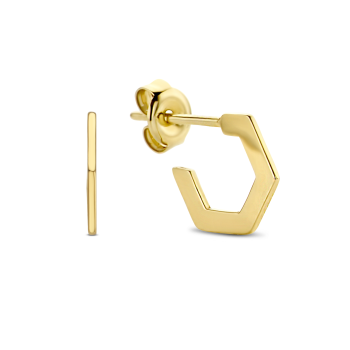 *Jackie 14krt gouden oorstekers plat hexagon - 615290