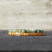 Rebel & Rose Jewelry Bracelet Secret Garden Gold Plated 4mm S - 616933 Rebel & Rose Jewelry Bracelet Secret Garden Gold Plated 4mm S - 616933
