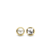Ti Sento Oorbellen Verguld 7875YP - 617592