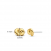 Ti Sento Oorbellen Verguld 7896SY - 617624