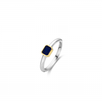 Ti Sento Ring Verguld 12273BY/52 - 617801