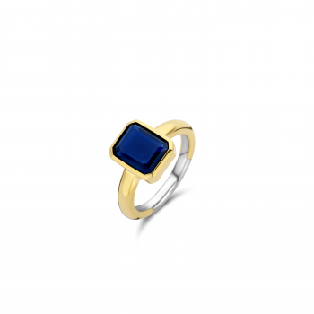 Ti Sento Ring Verguld 12272BY/56 - 617861