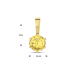 14krt gouden hanger met geboortesteen November zirkonia citrien - 618152