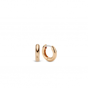 Ti Sento Oorbellen Verguld 7210RS - 613156