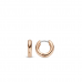 Ti Sento Oorbellen Verguld 7210RS - 613156