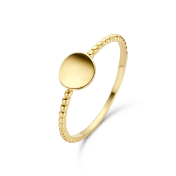 Jackie 14krt gouden ring twisted Disc maat 54 - 616513 Jackie 14krt gouden ring twisted Disc maat 54 - 616513