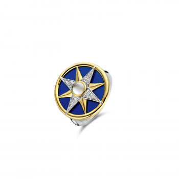 Ti Sento Ring Verguld 12303BL - 618772