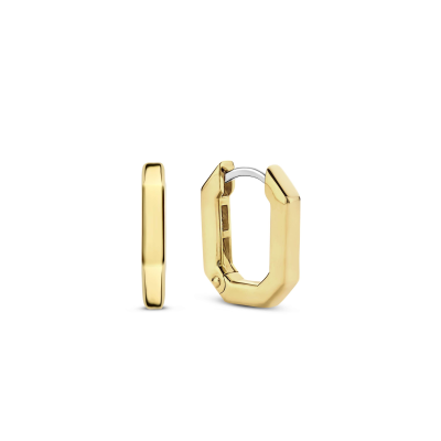 Ti Sento Oorbellen Verguld 7929SY - 618794