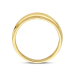 14krt gouden ring poli/mat (S005) - 619040