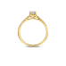 Blush Lab Grown Ring solitair 0.40crt met zijstenen 0.18crt G SI - 619092