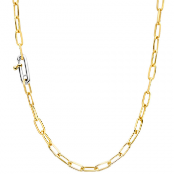 Ti Sento Collier Verguld 34024SY/48 - 619296