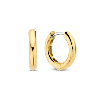 Ti Sento Oorbellen Verguld 7812YS - 619300