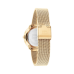 Tommy Hilfiger Watches Ladies Demi Gold TH1782699 - 619677
