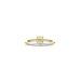 Ti Sento Ring Verguld 12367ZY - 620152