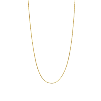 Ti Sento Collier Verguld 34083SY - 620161