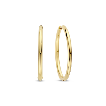 Ti Sento Oorbellen Verguld 78007SY - 620168