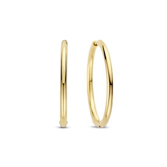 Ti Sento Oorbellen Verguld 78007SY - 620168