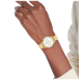 Tommy Hilfiger Watches Ladies Blake TH1782808 - 620384