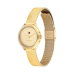 Tommy Hilfiger Watches Ladies Demi TH1782811 - 620655 Tommy Hilfiger Watches Ladies Demi TH1782811 - 620655