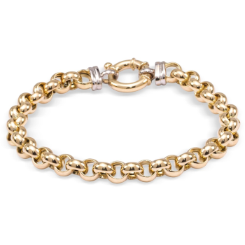 Monzario 14krt gouden armband jasseron 7mm 20cm - 620742