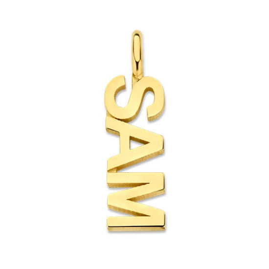 Minioro 14krt gouden Hanger Nametag LOVE - 621054
