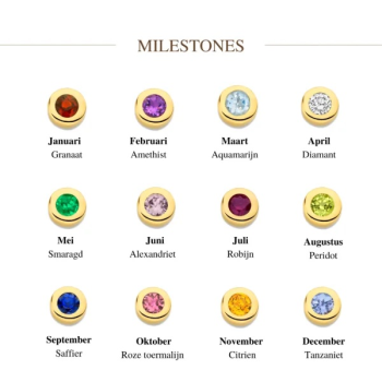 Minioro 14krt gouden Mini Mi Milestone-februari - 621071