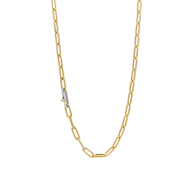 Ti Sento Collier Verguld 3947SY - 621246