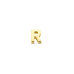 14krt gouden letterbedel R - 621387 14krt gouden letterbedel R - 621387