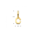14krt gouden letterbedel C - 621298 14krt gouden letterbedel C - 621298