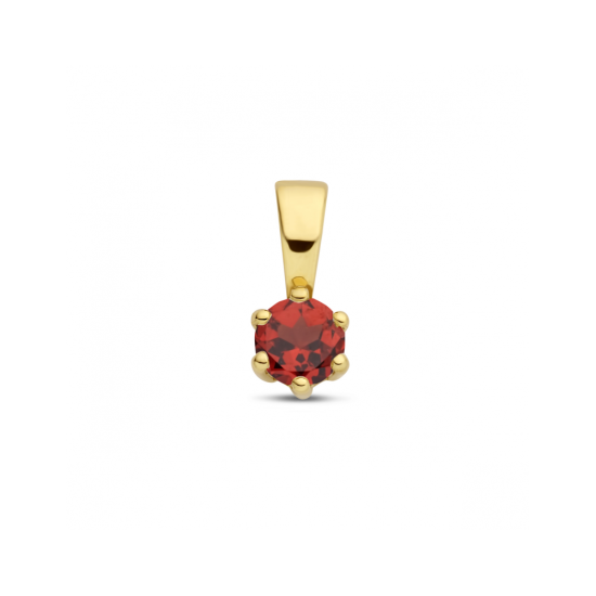 14krt gouden hanger met geboortesteen Januari Granaat - 620259
