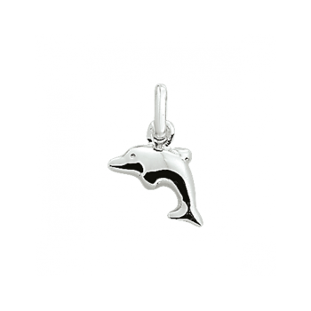 Zilveren hanger dolfijn - 620254