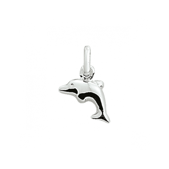 Zilveren hanger dolfijn - 620254
