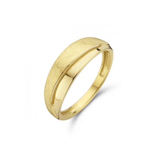 14krt gouden ring poli/mat (S005) - 619040