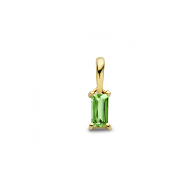 14krt gouden hanger met geboortesteen Mei Smaragd - 621254