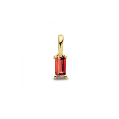14krt gouden hanger met geboortesteen Januari Granaat - 621236 14krt gouden hanger met geboortesteen Januari Granaat - 621236
