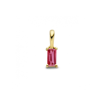 14krt gouden hanger met geboortesteen Juli Robijn - 621235 14krt gouden hanger met geboortesteen Juli Robijn - 621235