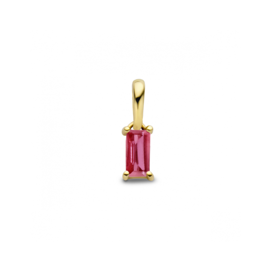 14krt gouden hanger met geboortesteen Juli Robijn - 621235